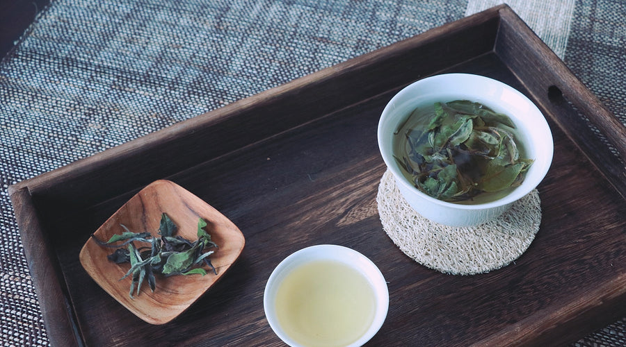 A Hidden Gem of White Tea that Everyone Should Try!