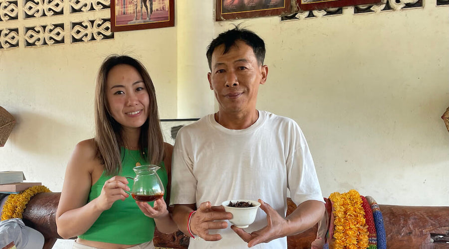 The Unexpected Turn to Kasem's Tea Forest in Wawee, Thailand