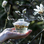 white tea, seattle tea store, seattle tea shop, Chinese white tea, rose, jasmine tea, refreshing taste