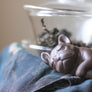 tea pet, yi xing clay tea pet, pug, pug tea pet, hand made tea pet, tea accessory, gong fu cha, gong fu tea, gong fu tea accessory