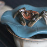 teapet, tea, gong fu cha, gong fu tea, tea table, tea tray, chinese teapet, cha chong, 茶宠