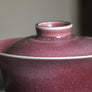 gaiwan, seattle tea store, teapot, handmade gaiwan, chinese teaware, teaware, hand painted gaiwan, chinese teaware, serene tea