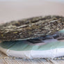 white tea, chinese white tea, fu ding white tea, white tea cake, bai mu dan tea, loose leaf bai mu dan, bai mu dan tea cake, white peony tea, white peony tea cake, seattle tea, seattle tea store, serene tea cha, serene tea seattle, serene tea