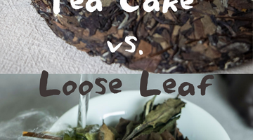 A Love Affair with Loose Leaf (Aged) White Tea