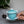 gaiwan, chinese teaware, teaware, teapot, chinese teapot, gong fu cha, gong fu tea gaiwan, gong fu tea teaware, gong fu cha teaware, chinese ceramic, ceramic teaware, ceramic gaiwan, purple color ceramic, purple gaiwan